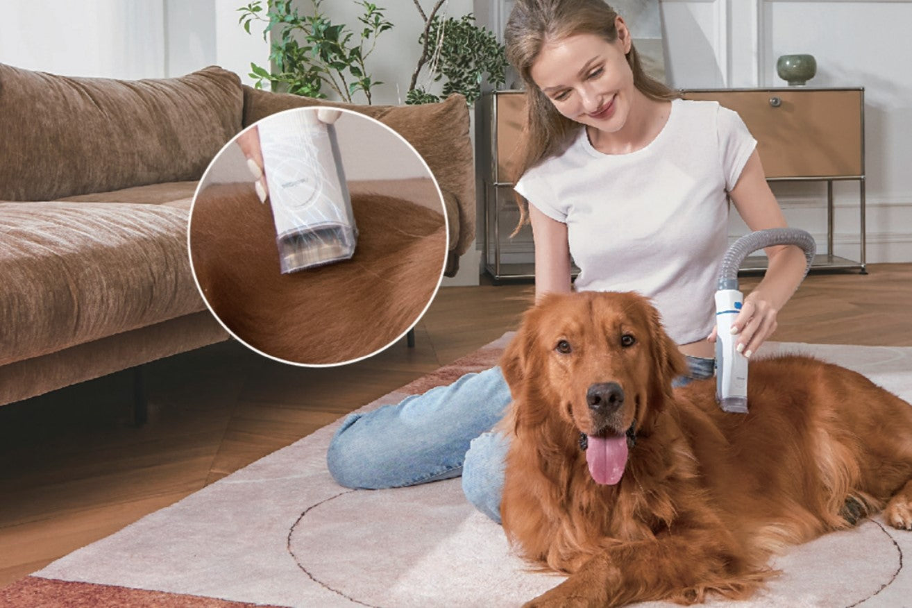 Hundepflege Staubsauger: So bleibt Ihr Vierbeiner sauber zu Hause