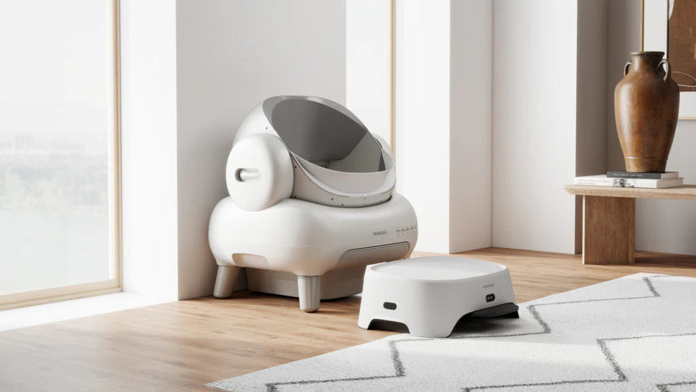 8 beste Luftreiniger zur Geruchskontrolle am Katzenklo