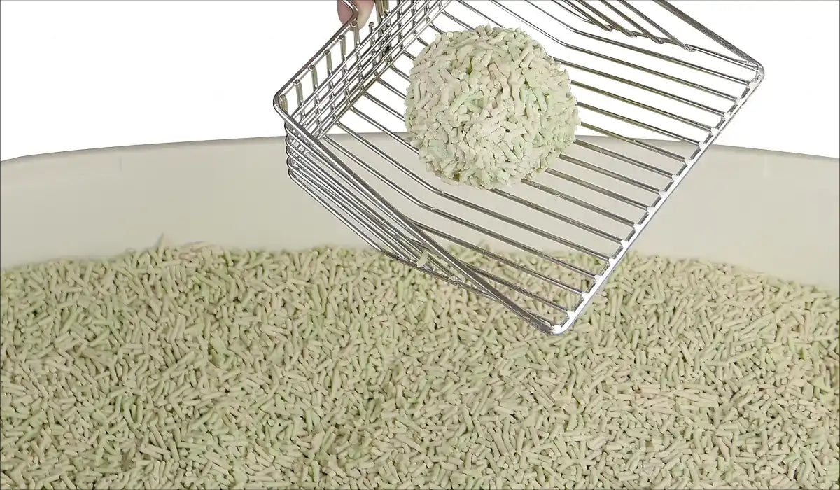 Wie oft das Katzenklo reinigen? Der ultimative Guide für Hygiene und Frische