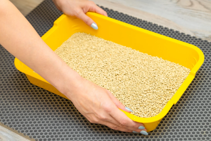 Ist es schlimm, die Marke des Katzenstreus zu wechseln?