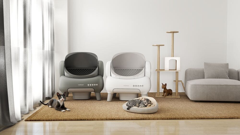 Selbstreinigende Katzentoilette für große Katzen: Worauf Sie bei XXL Katzenklos achten sollten