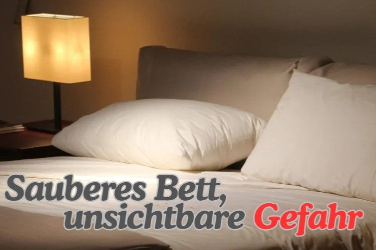 Kann man Bettwanzen mit einem tragbaren Dampfglätter töten?