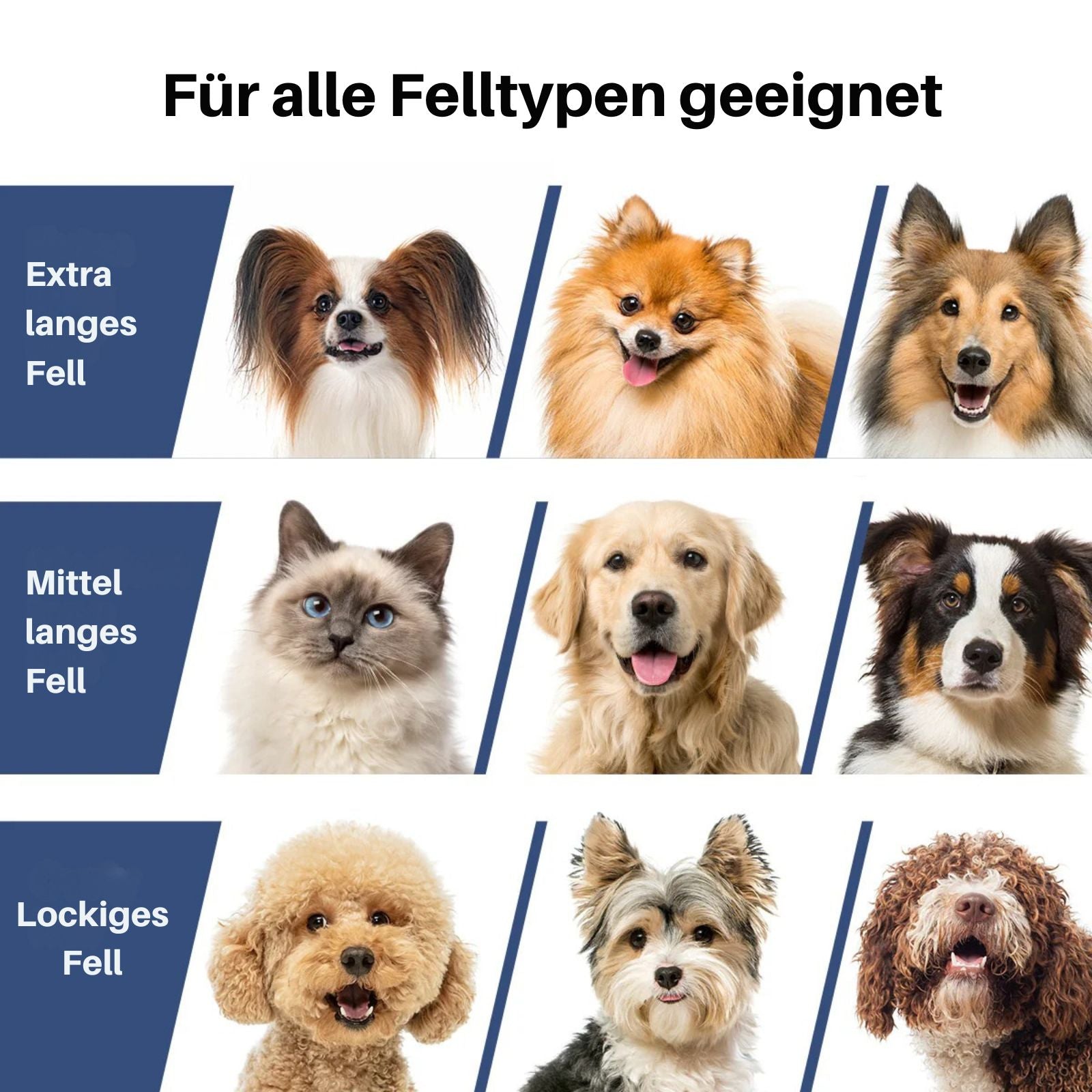 neakasa p2 pro Staubsauger für Hundehaare geeignet für alle Felltypen, p2-eu-grey, p2-eu-blue