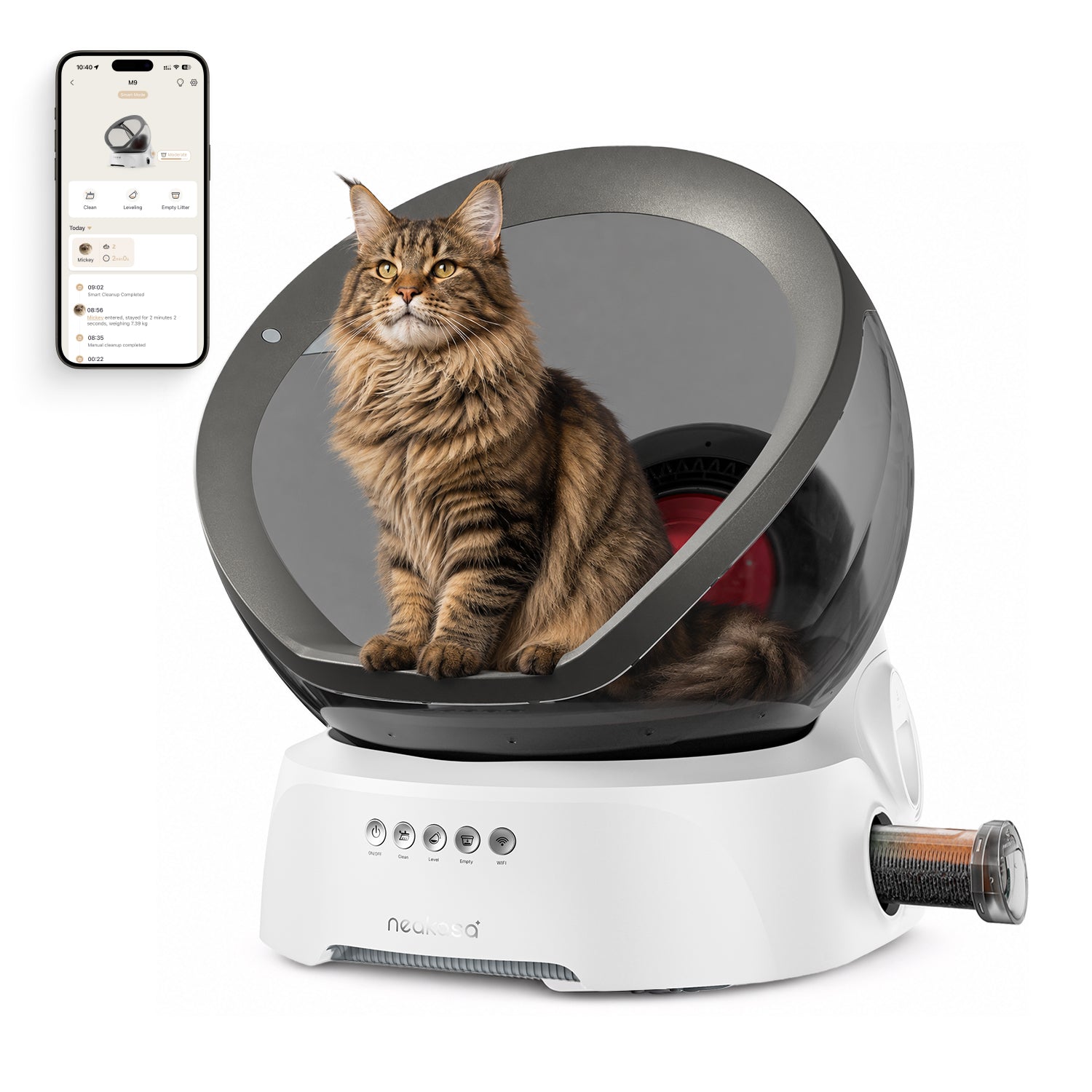 Neakasa M9 selbstreinigendes Katzenklo mit einer Maine-Coon-Katze und App-Ansicht auf dem Smartphone.