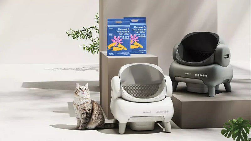 Wie bleibt der Bereich um das Katzenklo sauber?