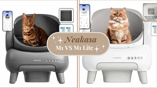 Neakasa M1 vs. M1 Lite – Selbstreinigende Katzentoilette im großen Vergleich