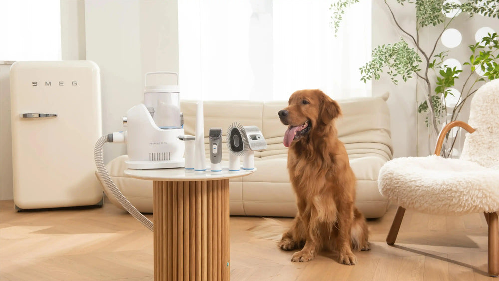 Neakasa P2 Pro Hundepflege-Staubsauger: Fellpflege für Hunde zuhause
