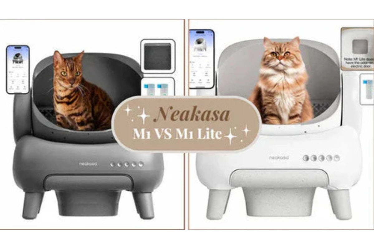 Neakasa M1 Plus vs. M1 Lite Plus – Welches Katzenklo passt besser zu dir? [2025 Vergleich]