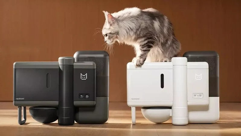 Futterautomat für Katzen: So bereitet Neakasa Riko jede Mahlzeit frisch zu