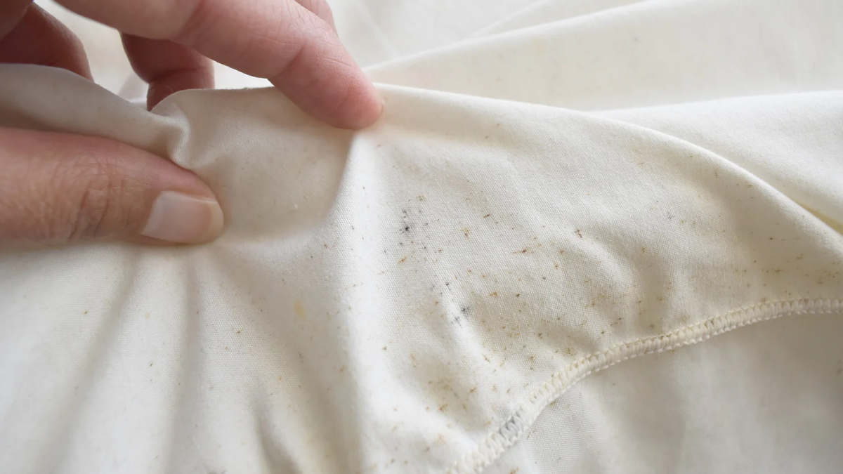 Schimmel auf Kleidung entfernen: Hilft Hitze gegen die Sporen?