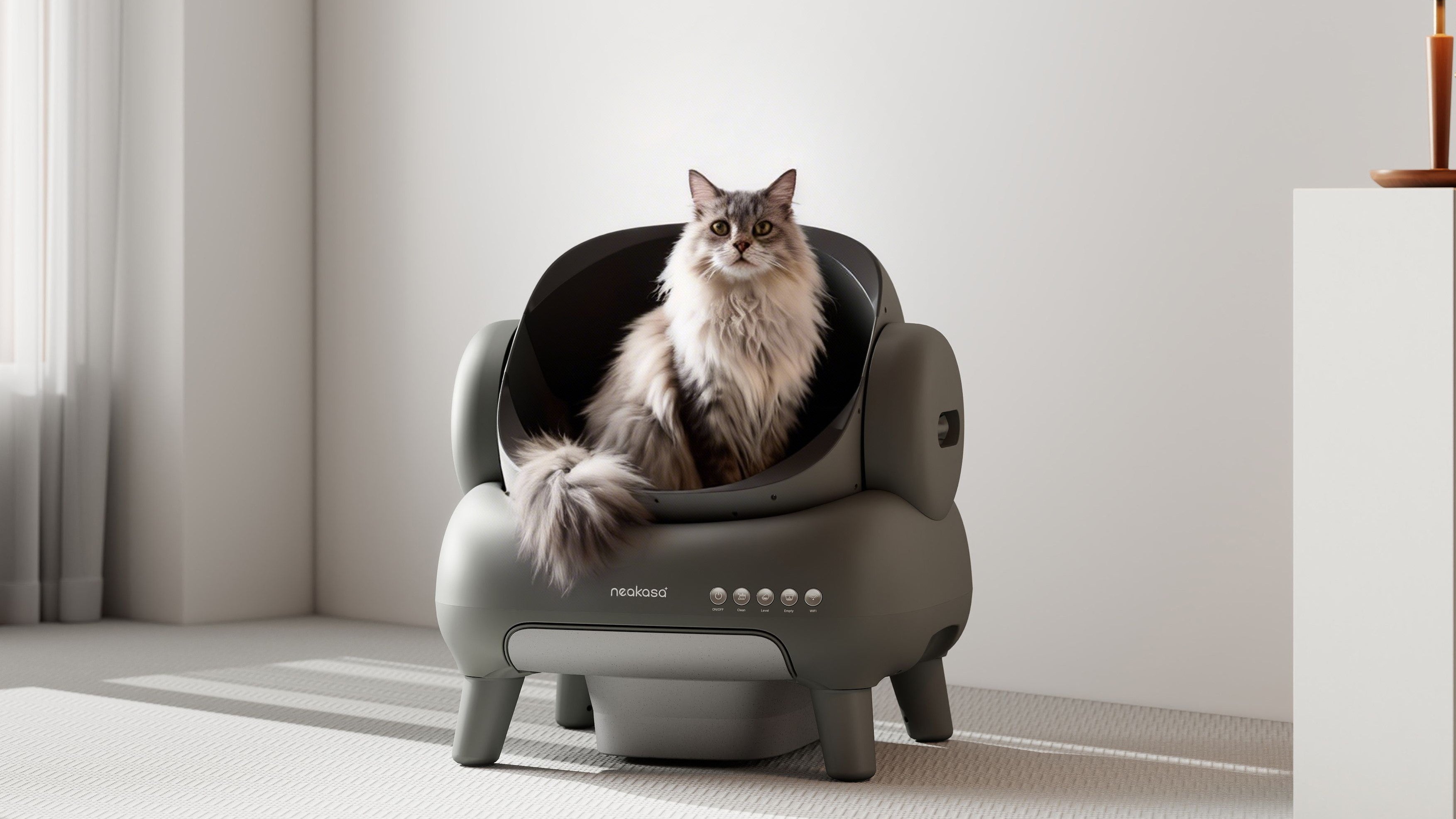 Selbstreinigendes Katzenklo für Maine Coon – Warum „XXL“ allein nicht ausreicht