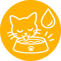 Katzen, die wenig trinken
