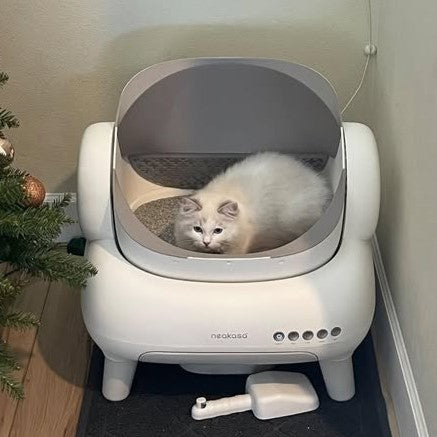 Neakasa M1 Plus Lite Automatische Katzentoilette – Verbesserte Version