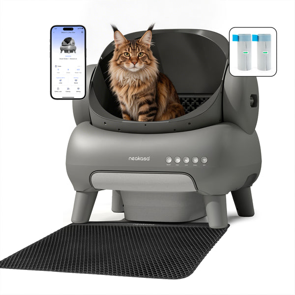 Neakasa M1 Plus selbstreinigende Katzentoilette mit offenem Design