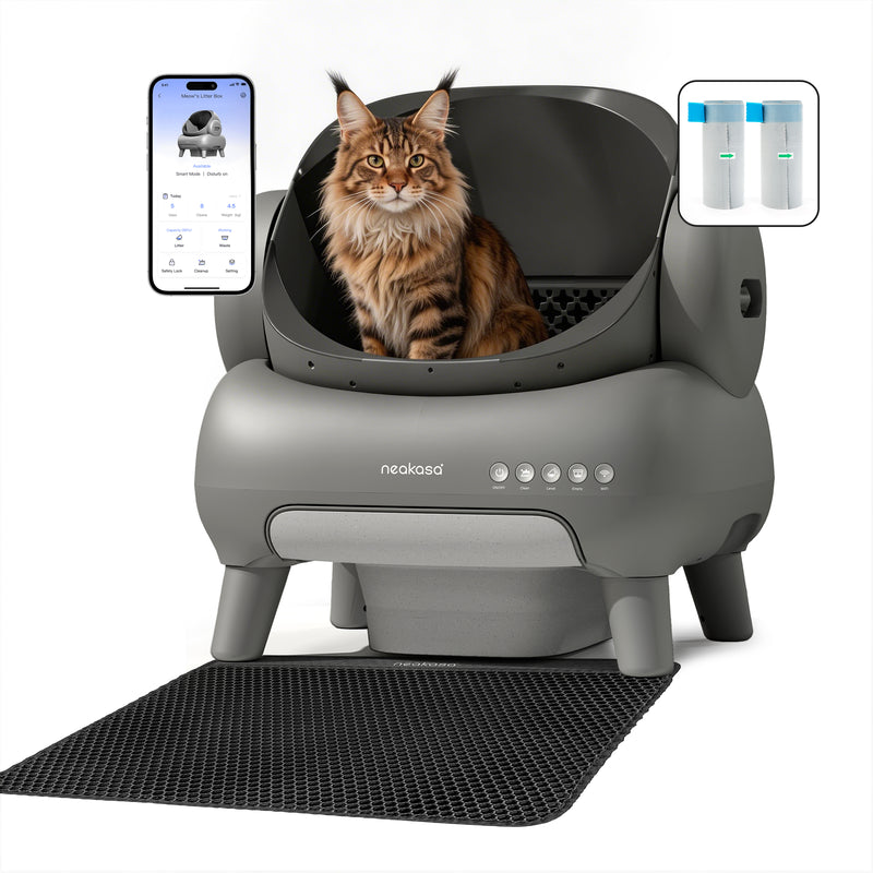 Neakasa M1 Plus selbstreinigendes Katzenklo mit offenem XXL-Design